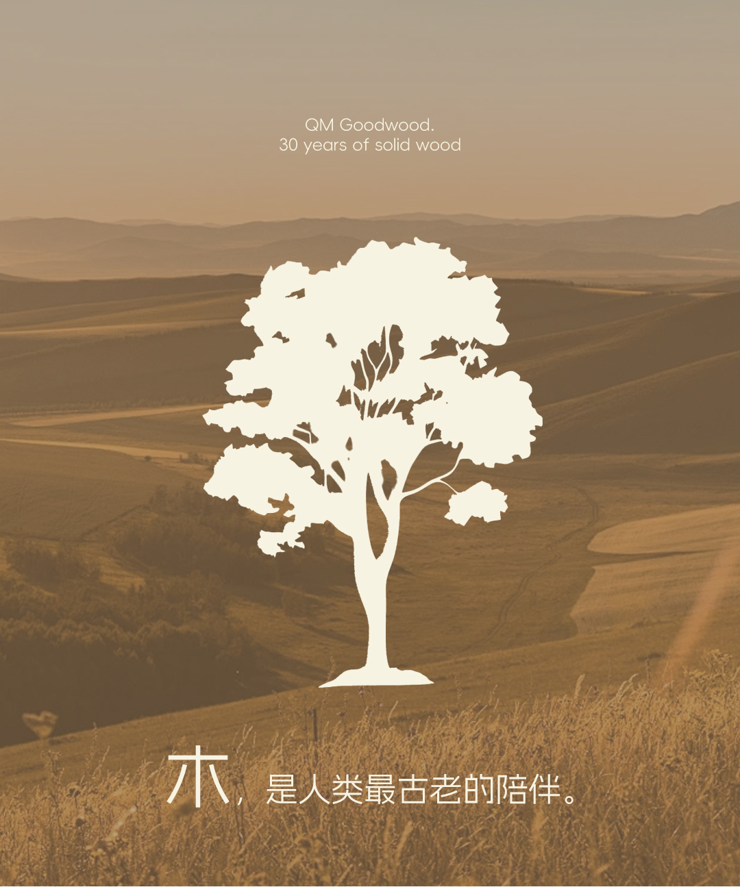 「曲美好木」新品牌上线！